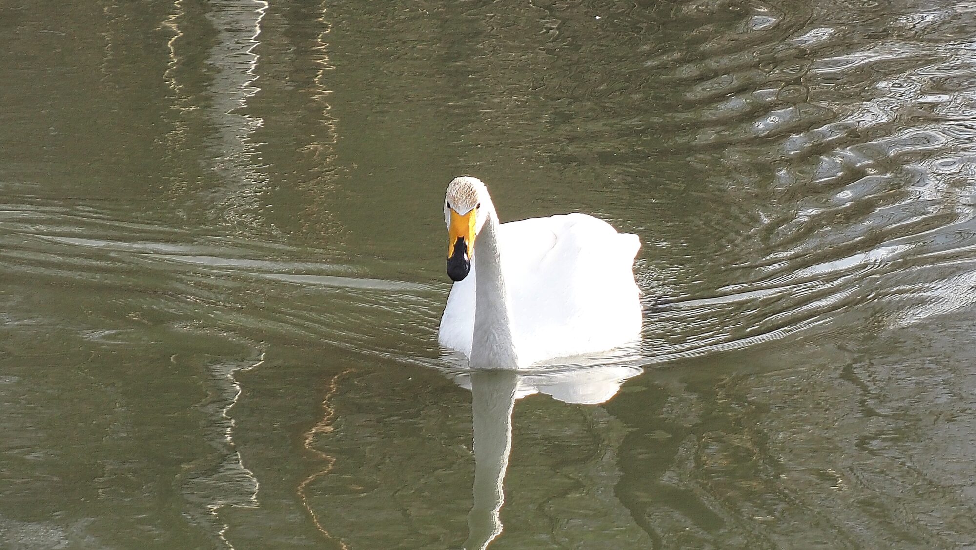 Valokuvaaja: Arja Valtonen