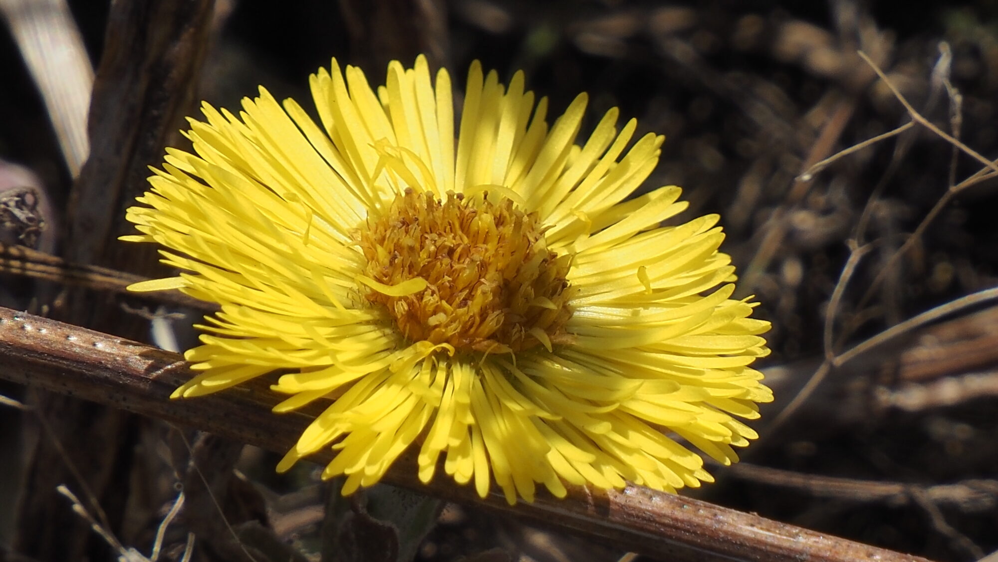 Valokuvaaja: Arja Valtonen Valokuvaaja: Arja Valtonen