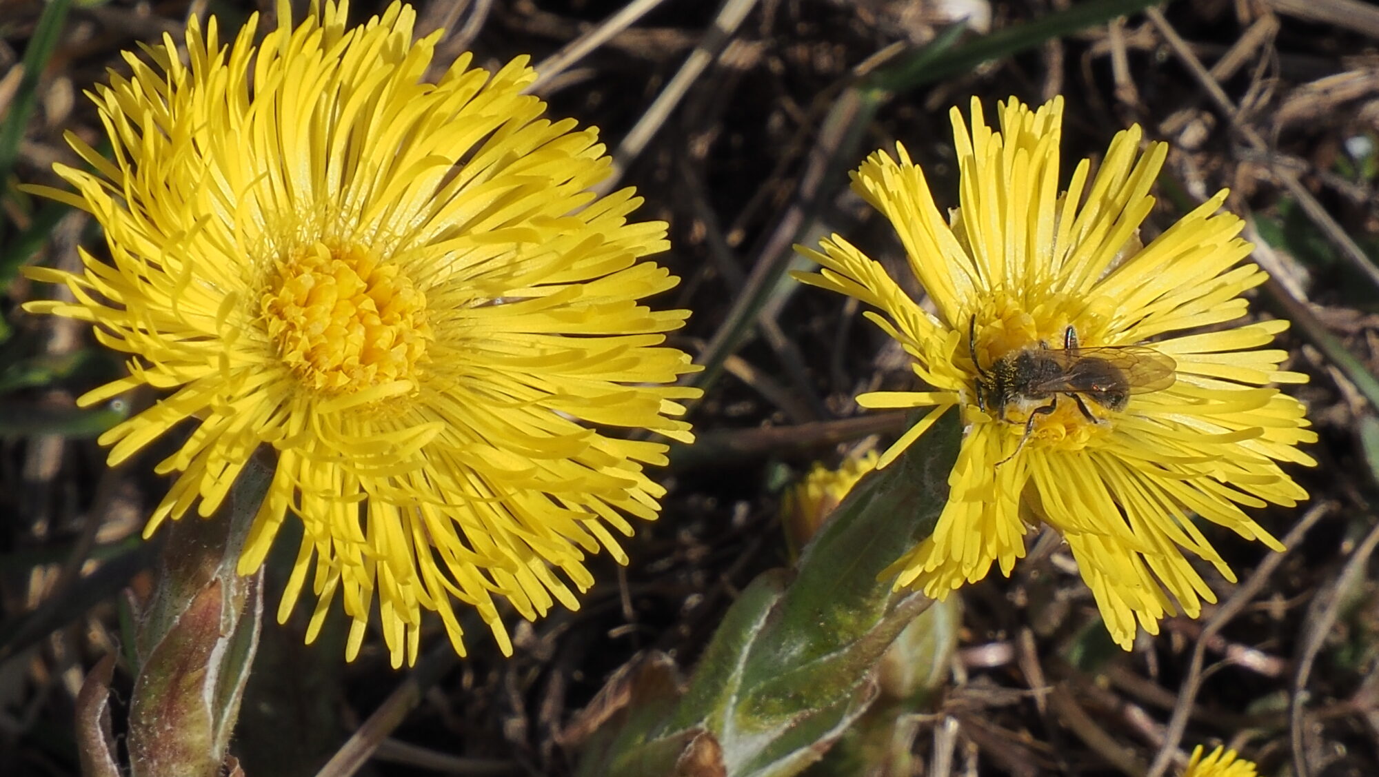 Valokuvaaja: Arja Valtonen