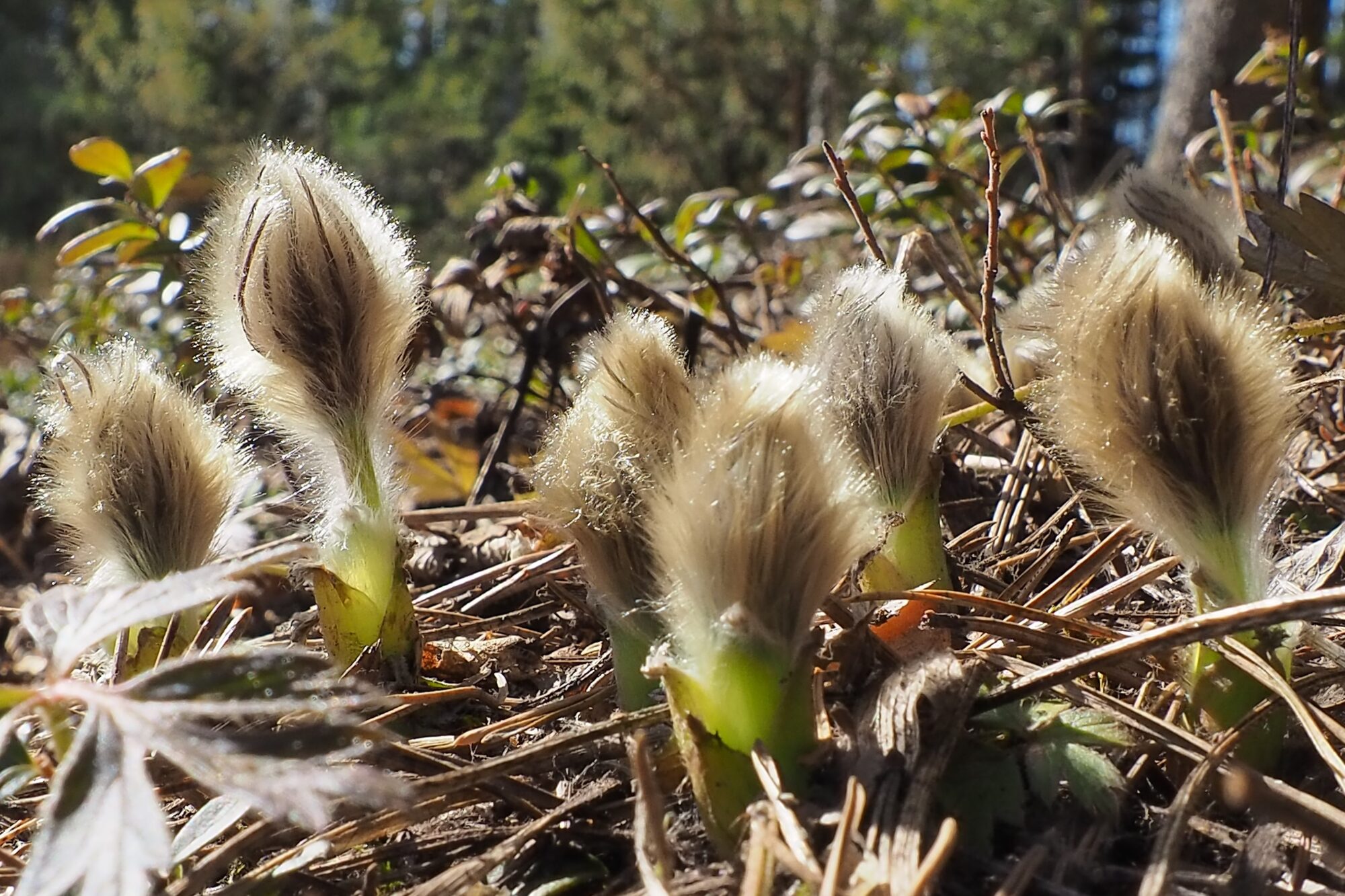 Valokuvaaja: Martti Valtonen