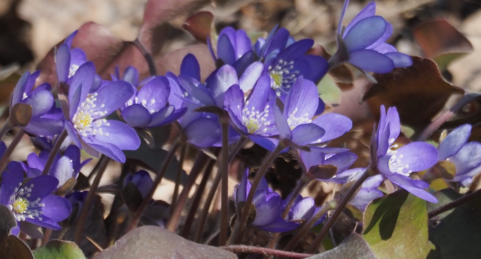 Valokuvaaja: Arja Valtonen Valokuvaaja: Arja Valtonen