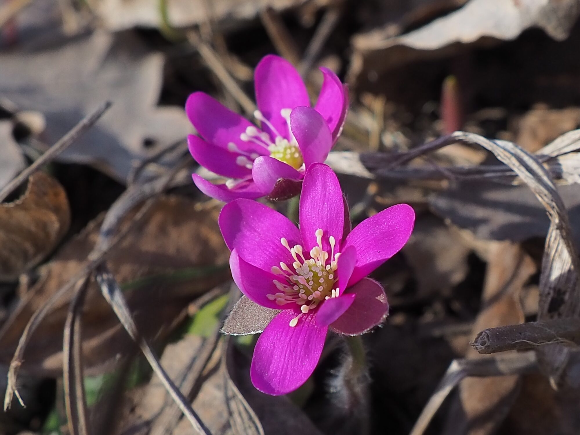 Valokuvaaja: Martti Valtonen