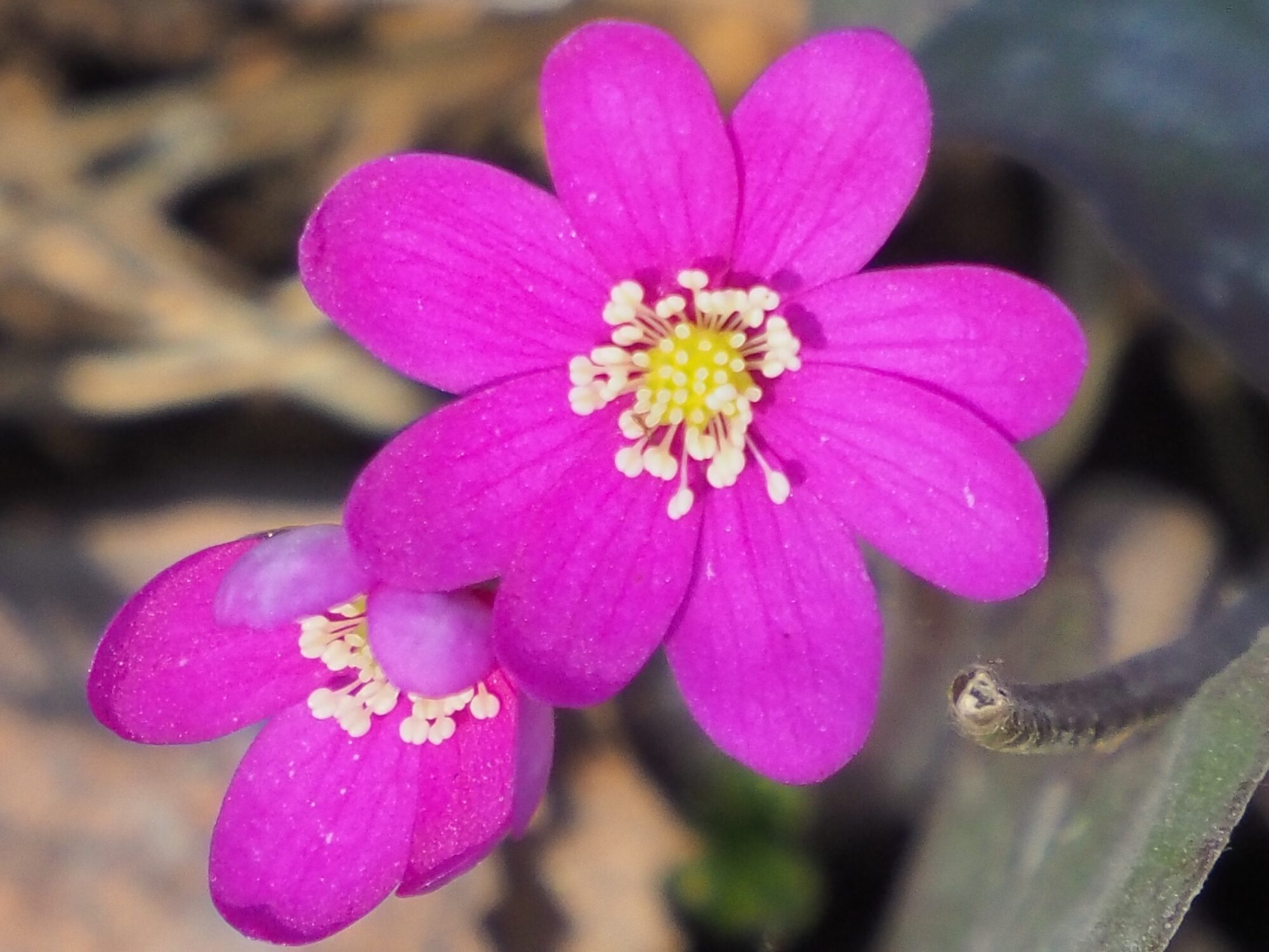 Valokuvaaja: Martti Valtonen