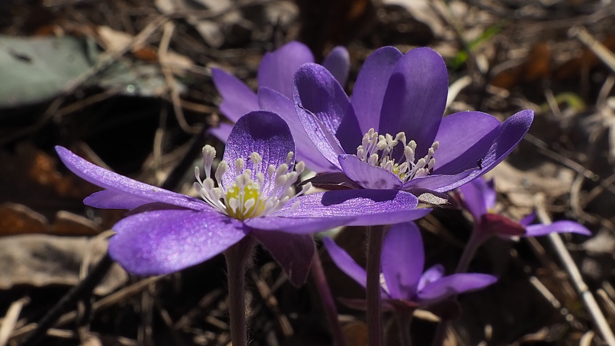 Valokuvaaja: Martti Valtonen