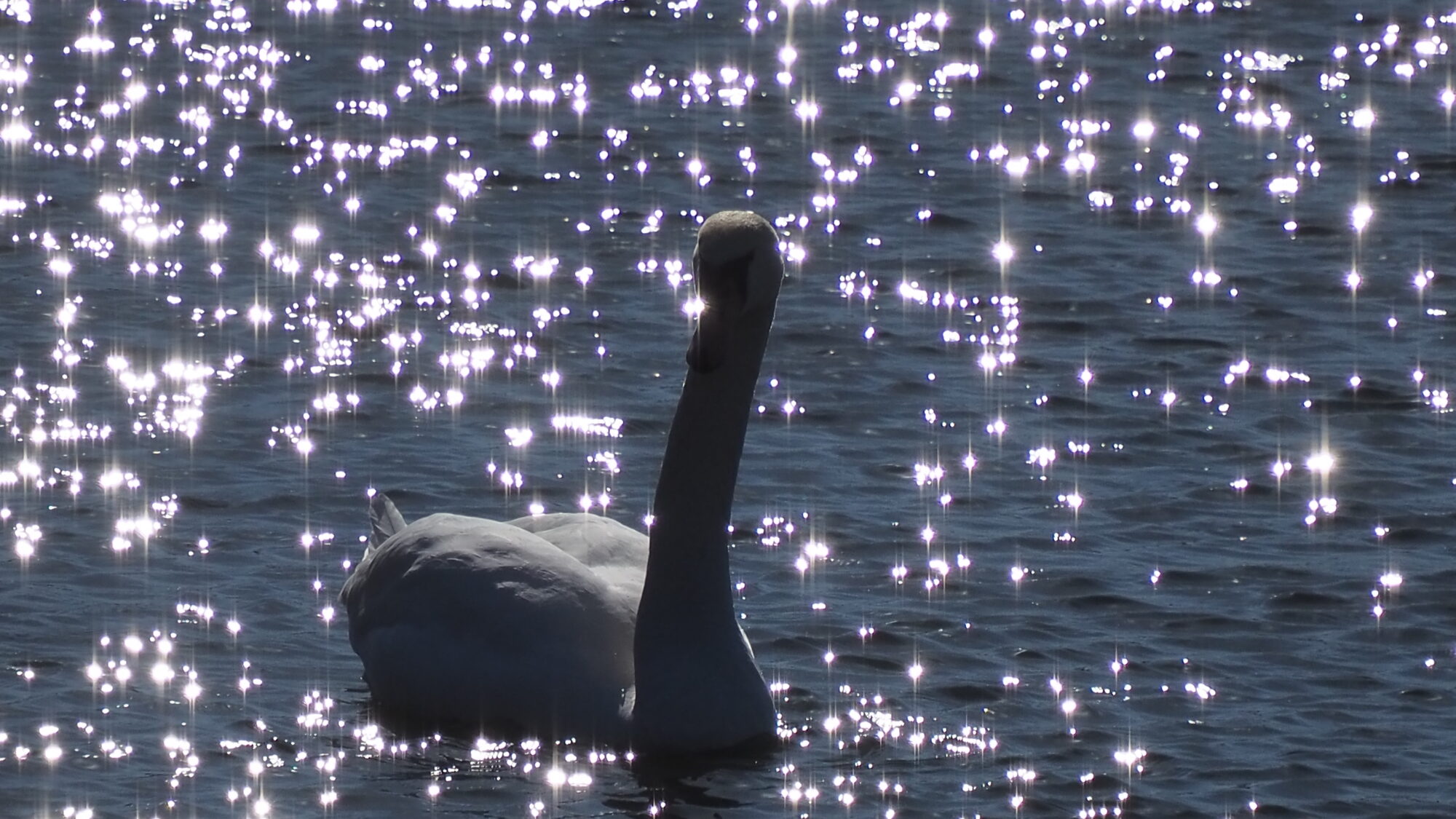 Valokuvaaja: Martti Valtonen