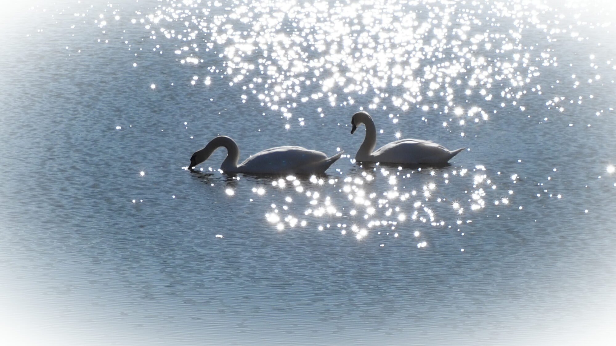 Valokuvaaja: Martti Valtonen