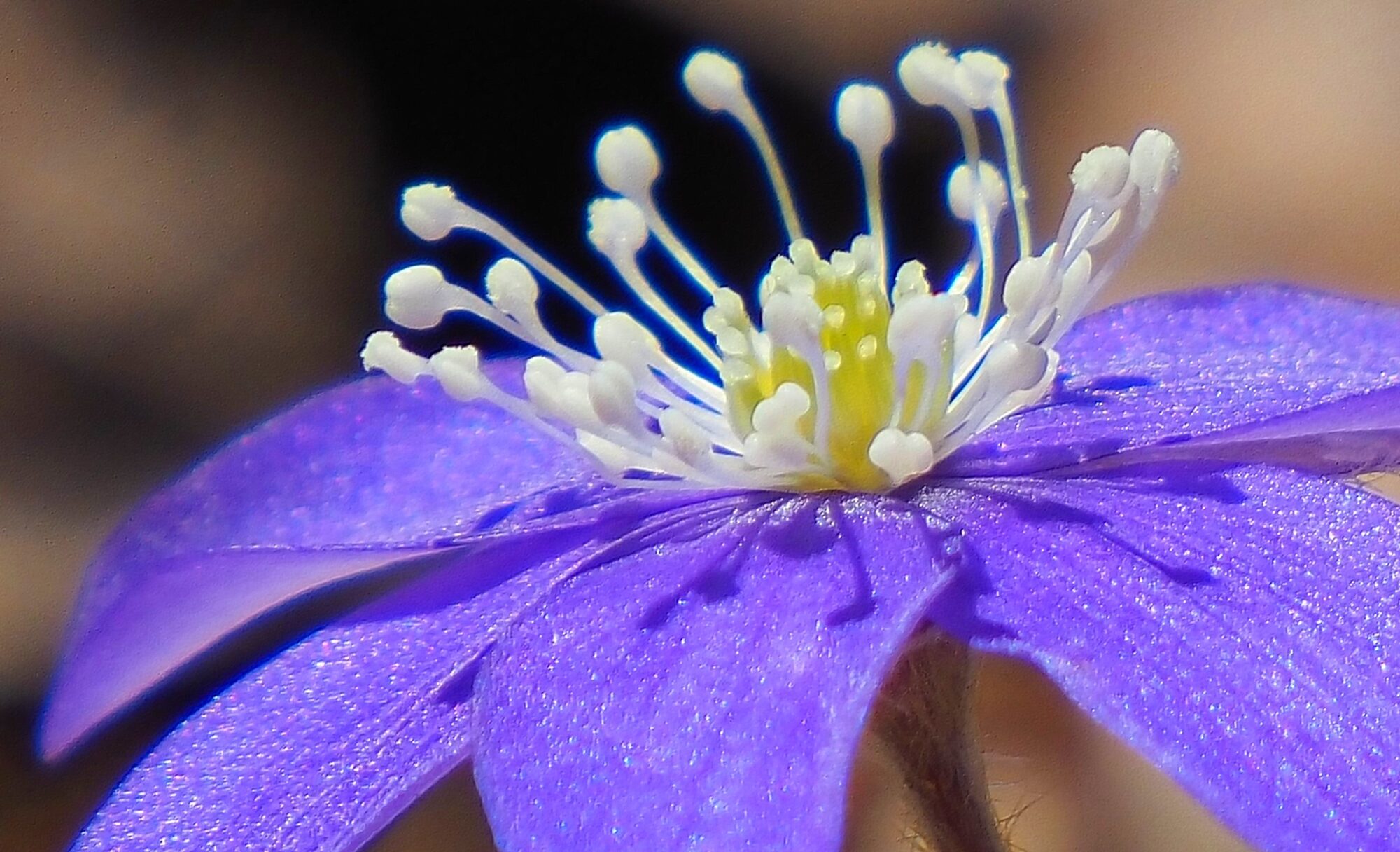 Valokuvaaja: Arja Valtonen