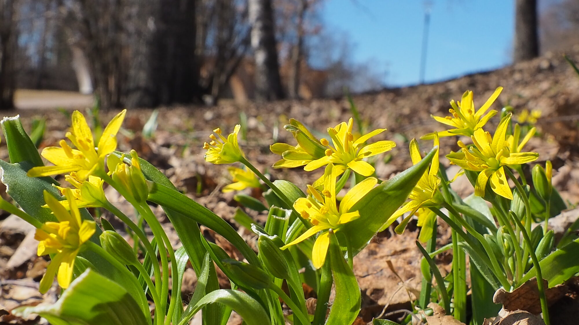 Valokuvaaja: Martti Valtonen