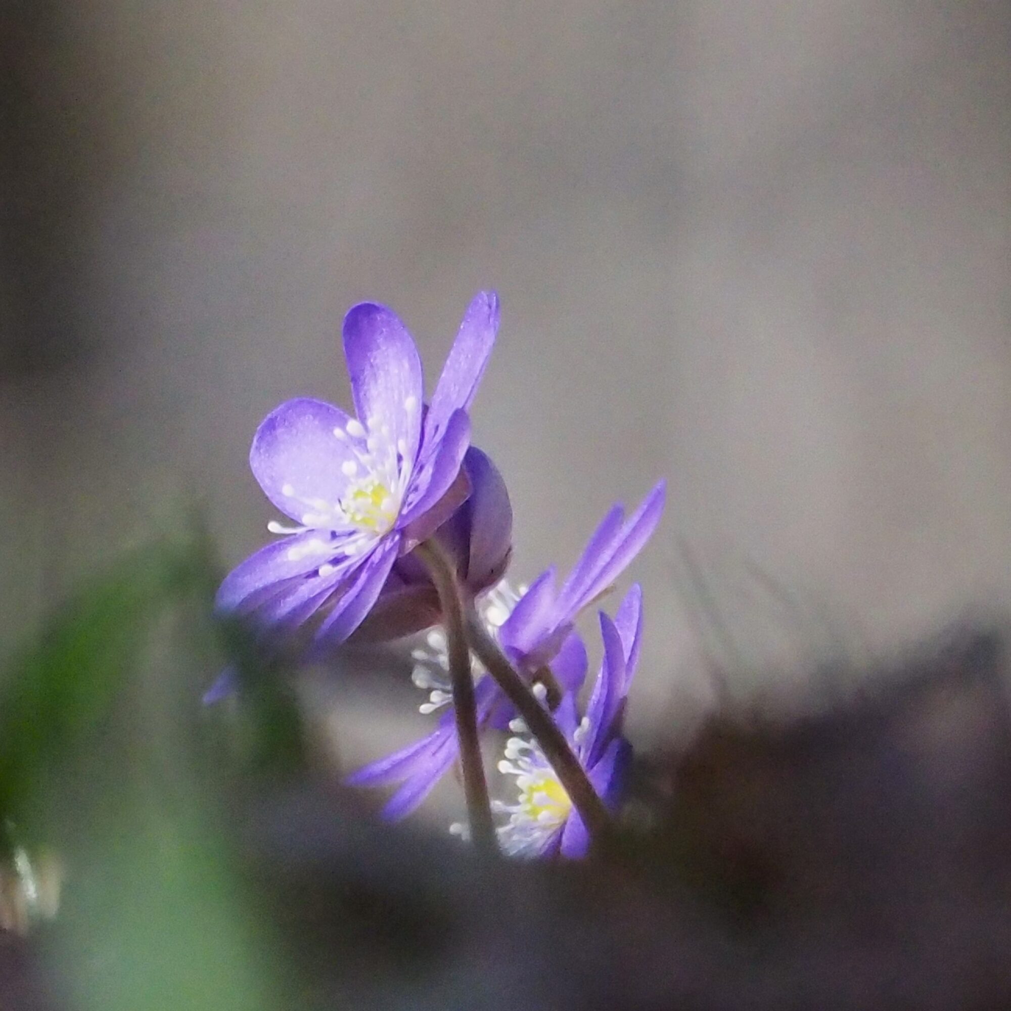 Valokuvaaja: Martti Valtonen