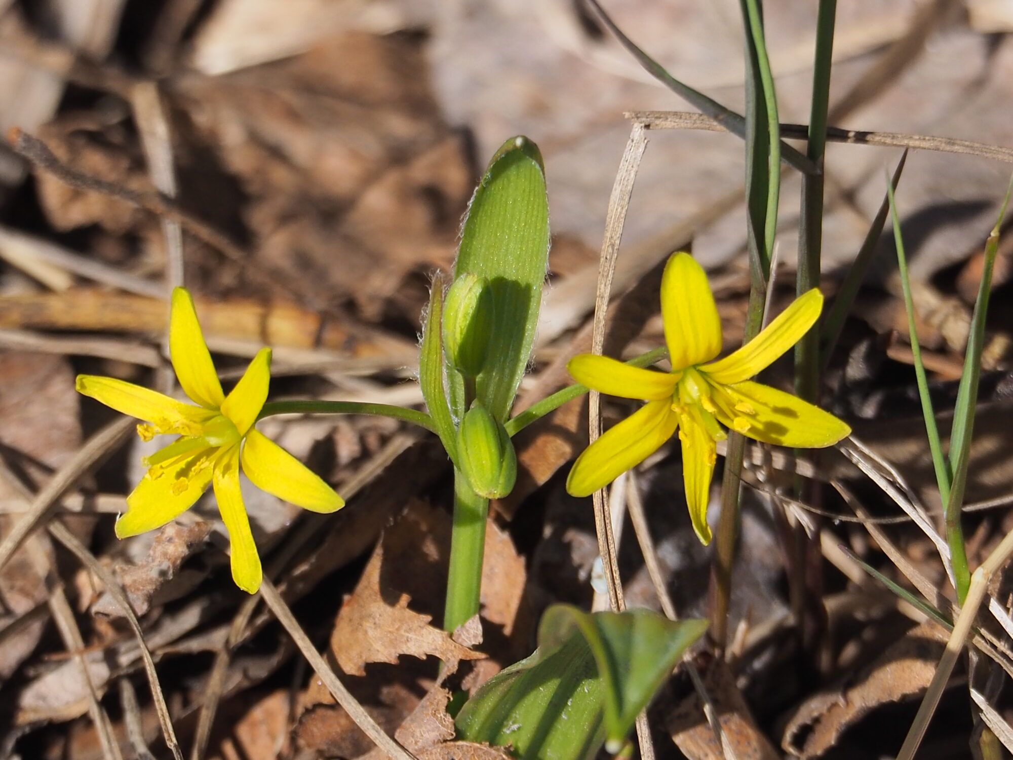 Valokuvaaja: Martti Valtonen