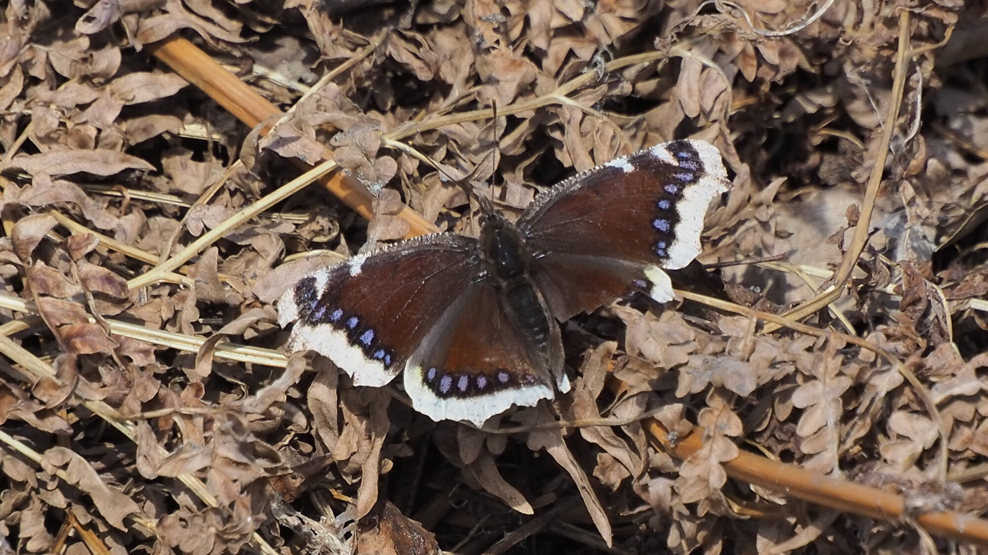 Valokuvaaja: Martti Valtonen