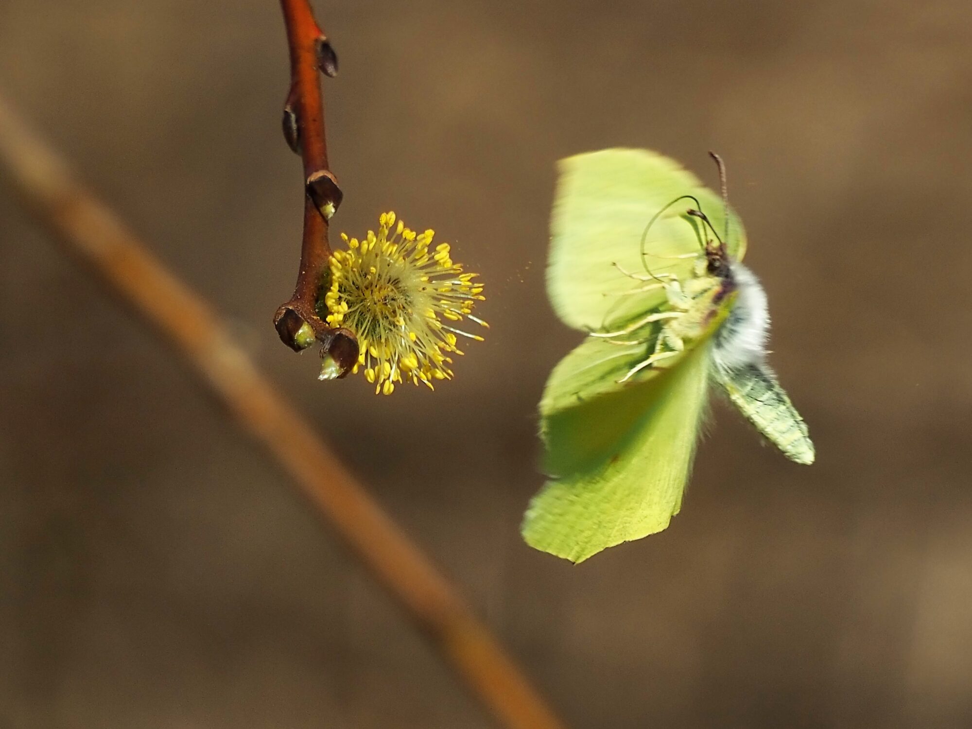 Valokuvaaja: Martti Valtonen