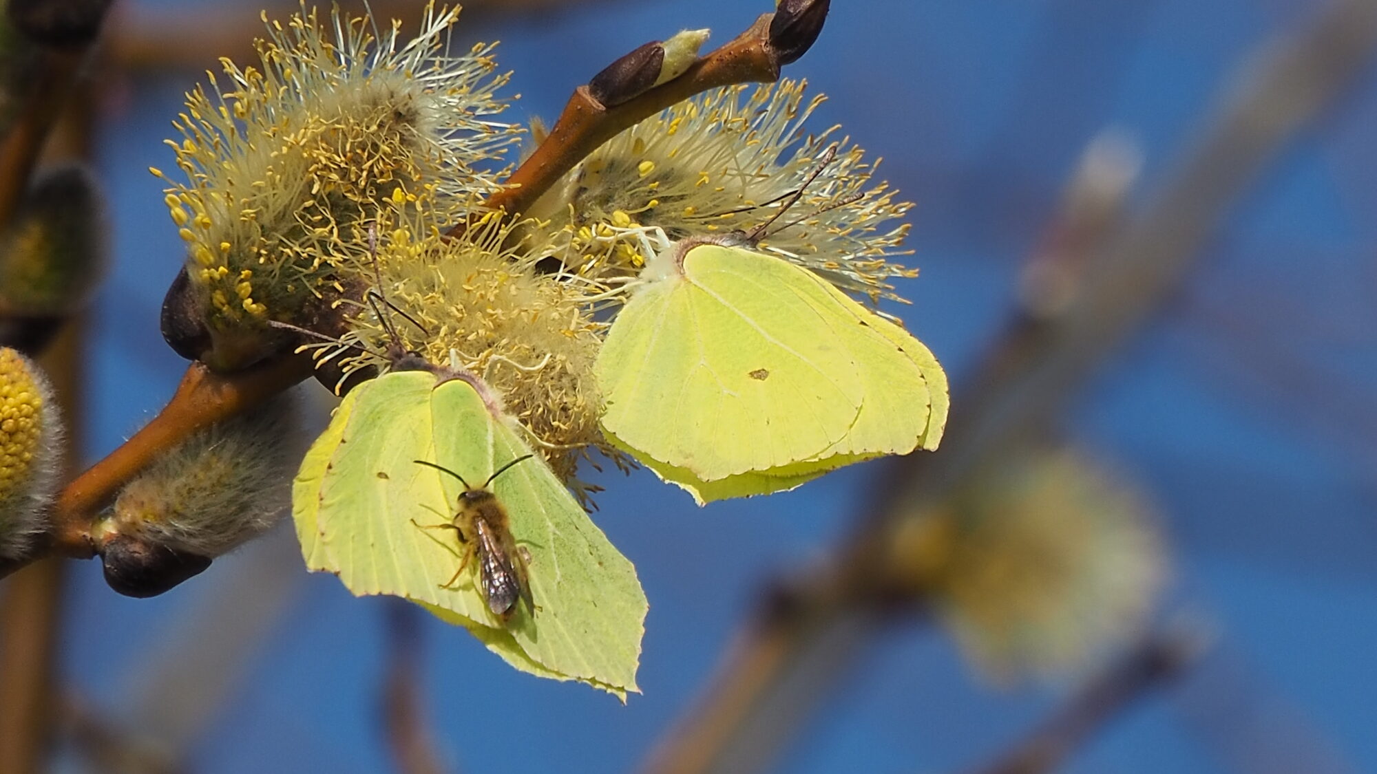 Valokuvaaja: Martti Valtonen