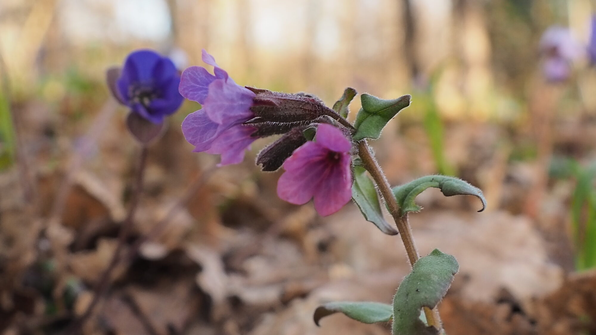 Valokuvaaja: Martti Valtonen