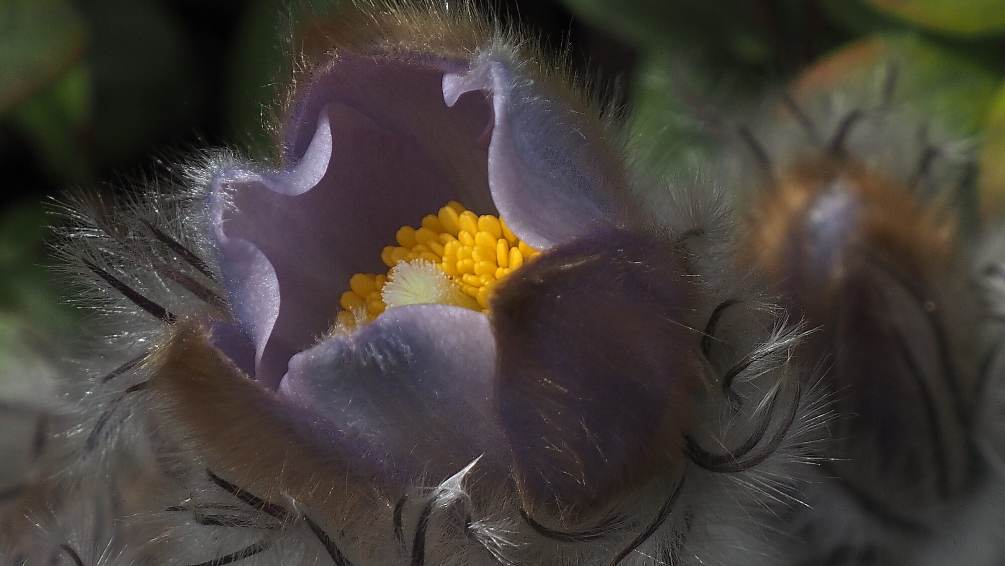 Valokuvaaja: Arja Valtonen