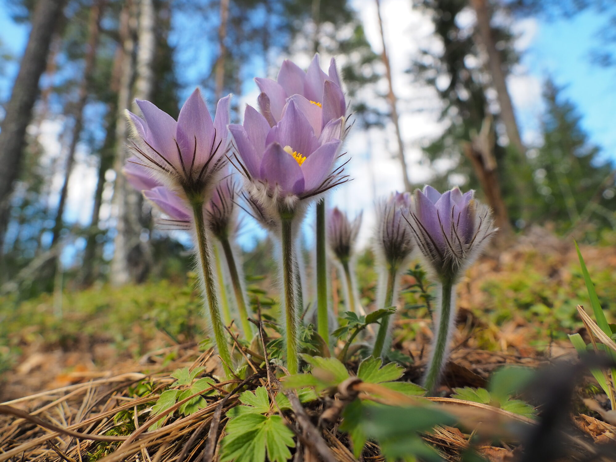 Valokuvaaja: Martti Valtonen