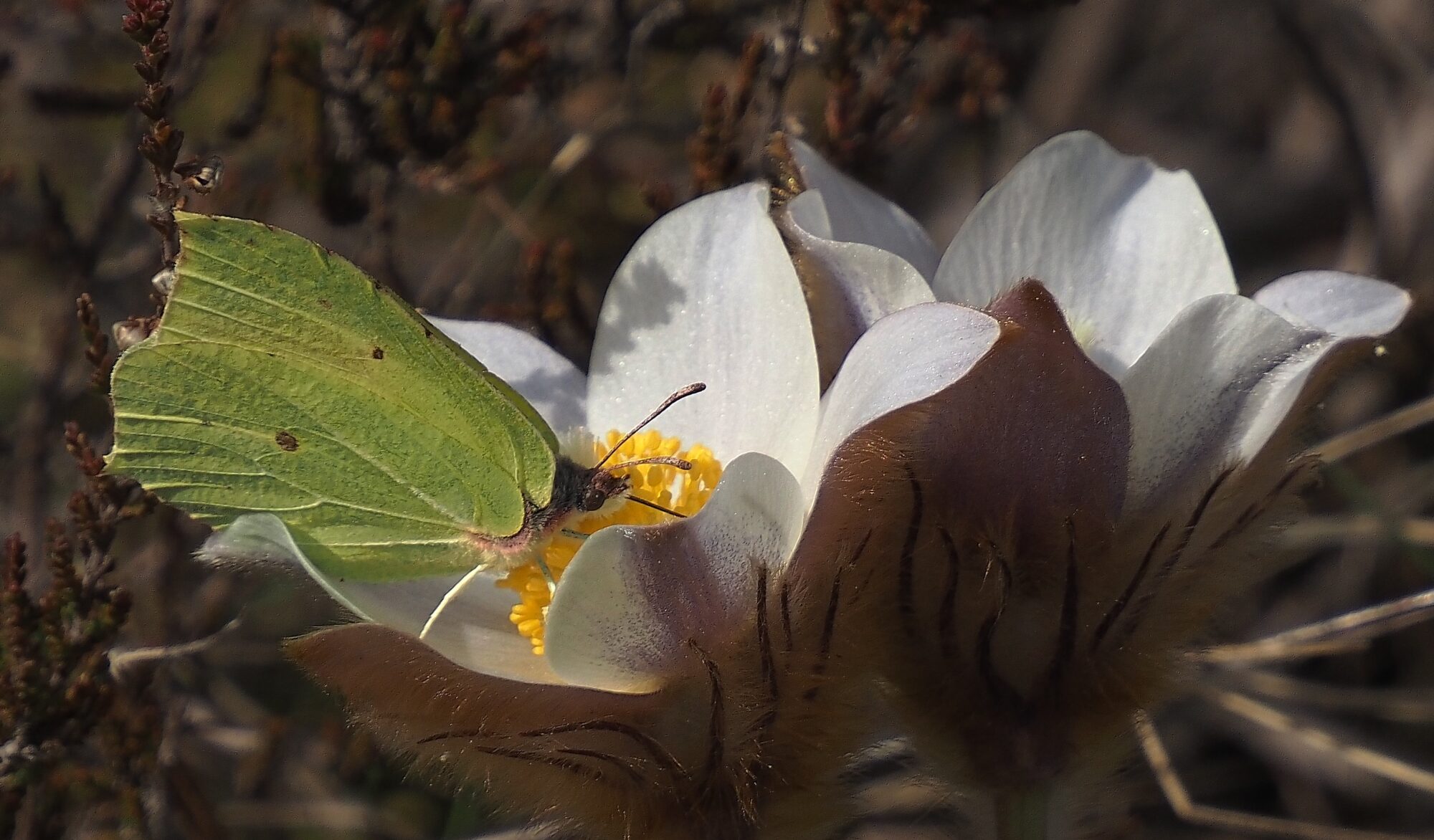 Valokuvaaja: Arja Valtonen