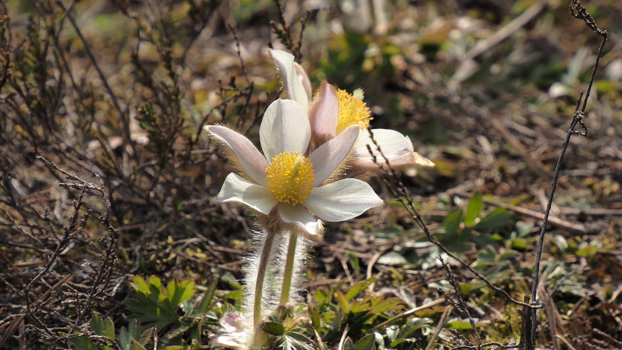Valokuvaaja: Arja Valtonen