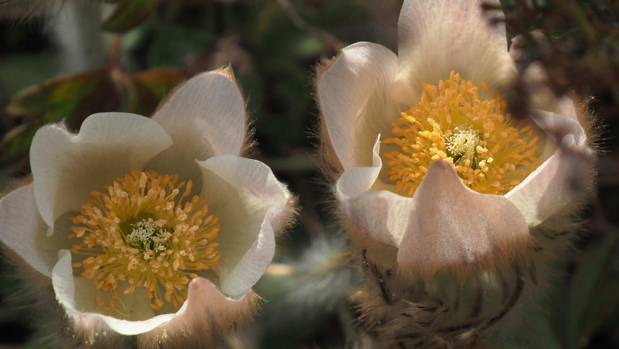 Valokuvaaja: Arja Valtonen