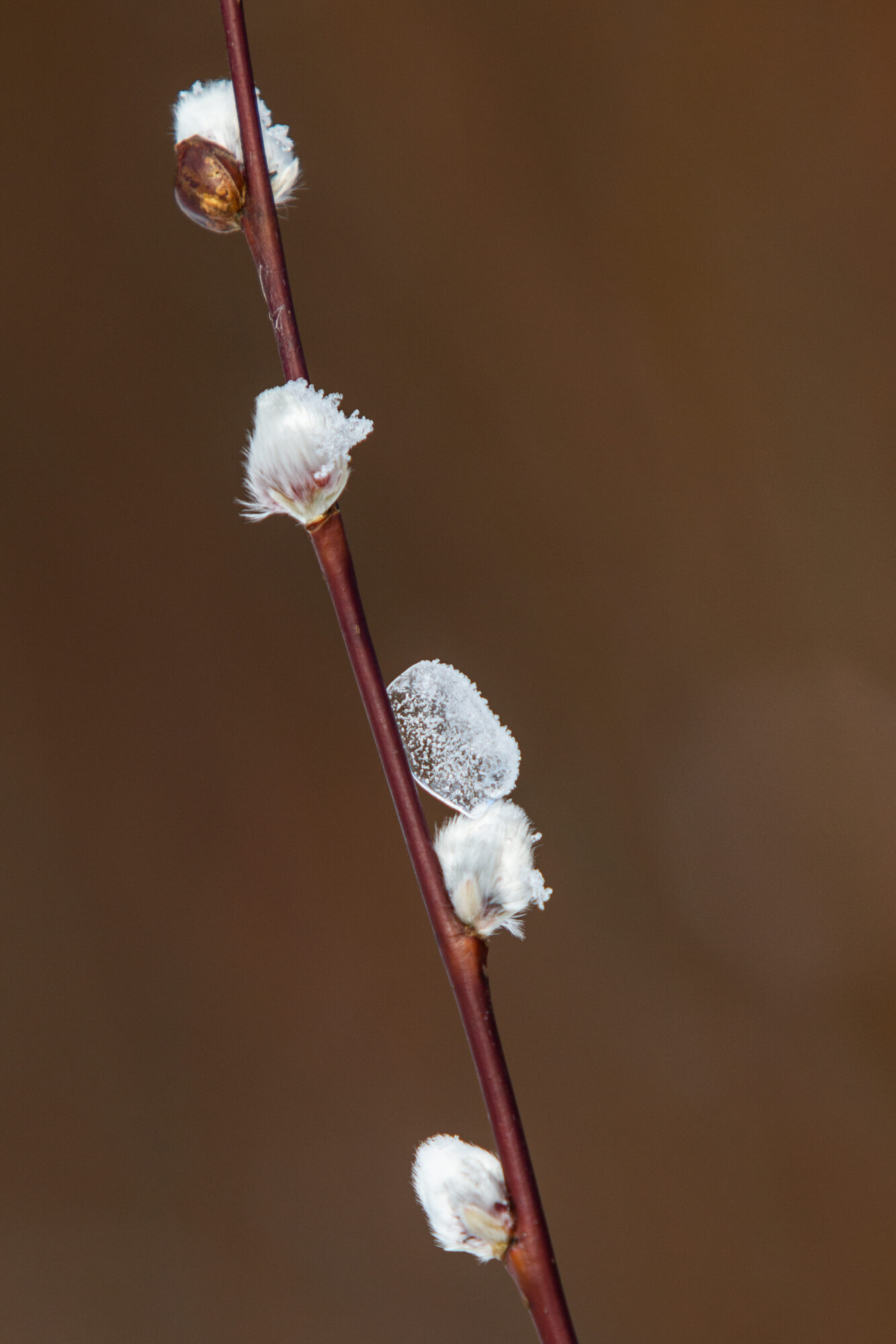 Valokuvaaja: Teija Järvenpää