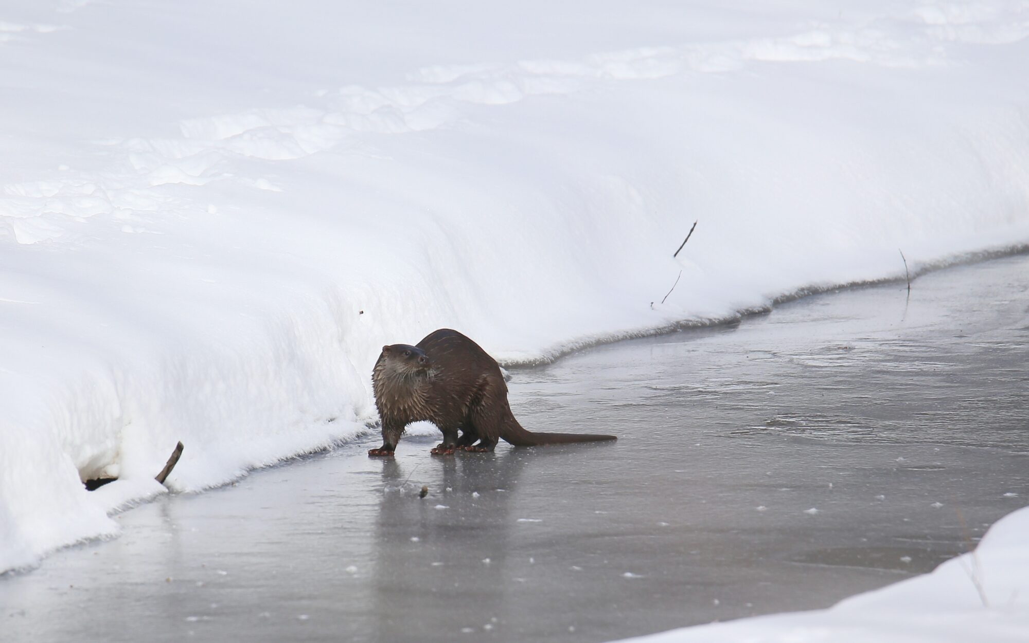 Valokuvaaja: Jaana Saarelainen