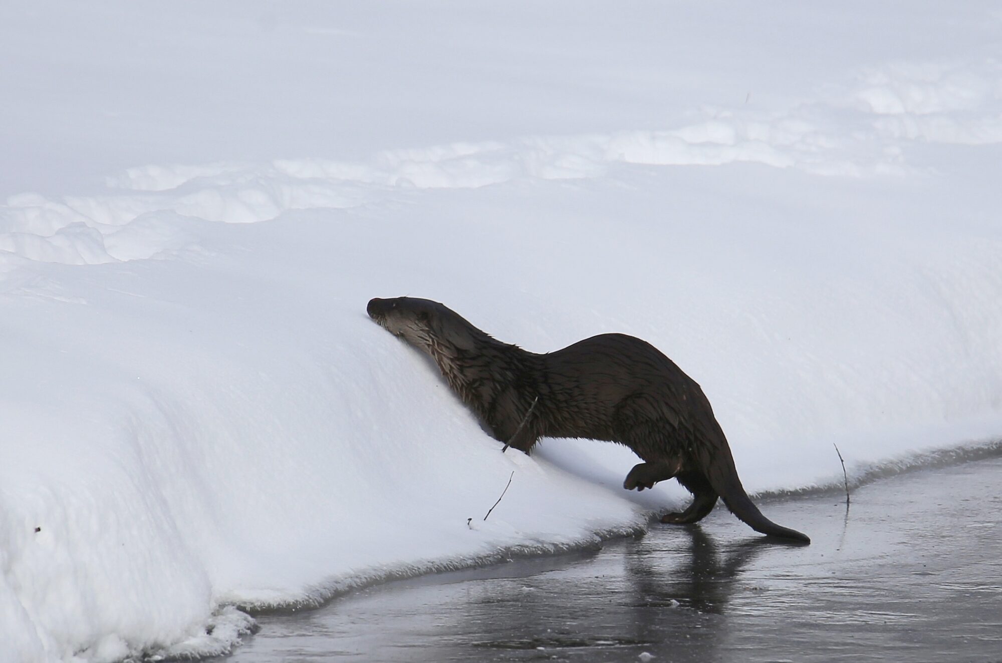 Valokuvaaja: Jaana Saarelainen