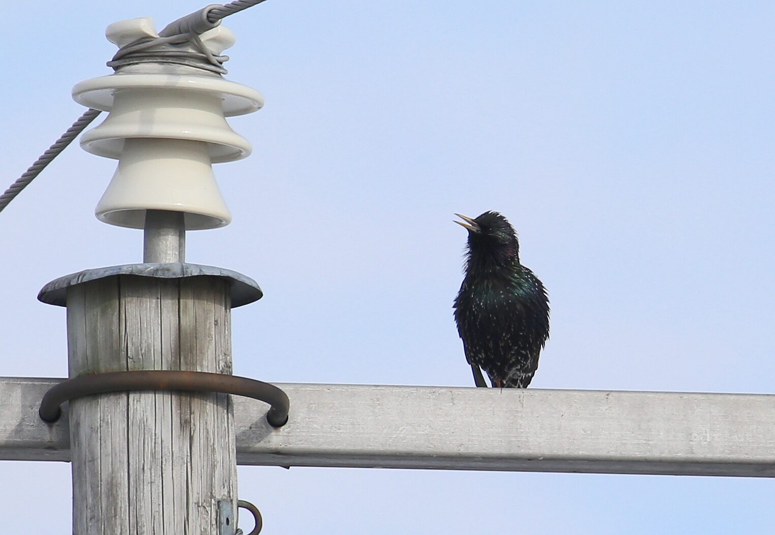 Valokuvaaja: Jaana Saarelainen