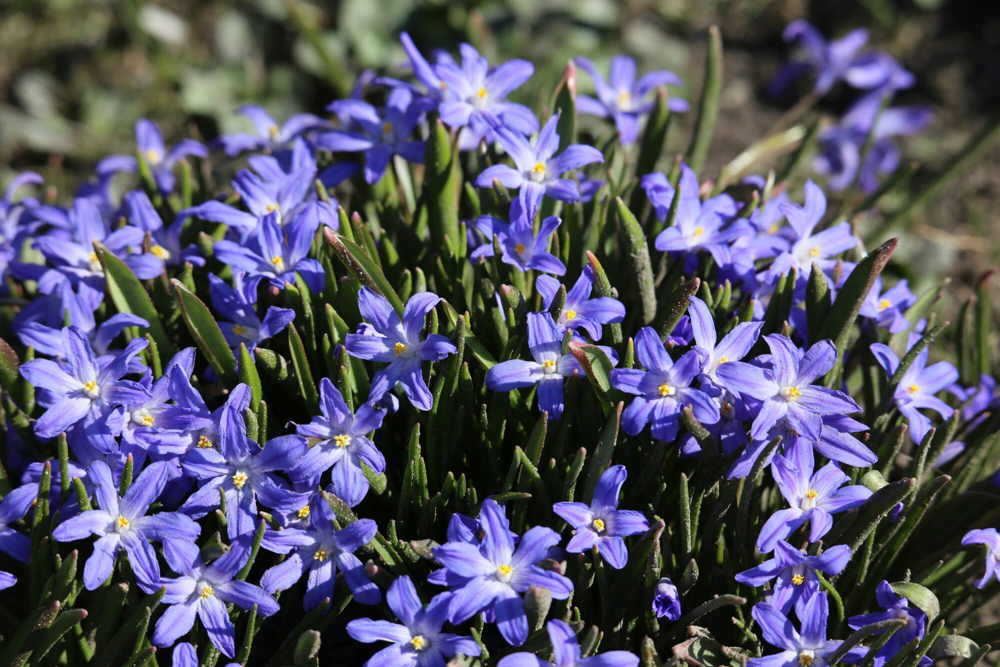 Valokuvaaja: Jaana Saarelainen