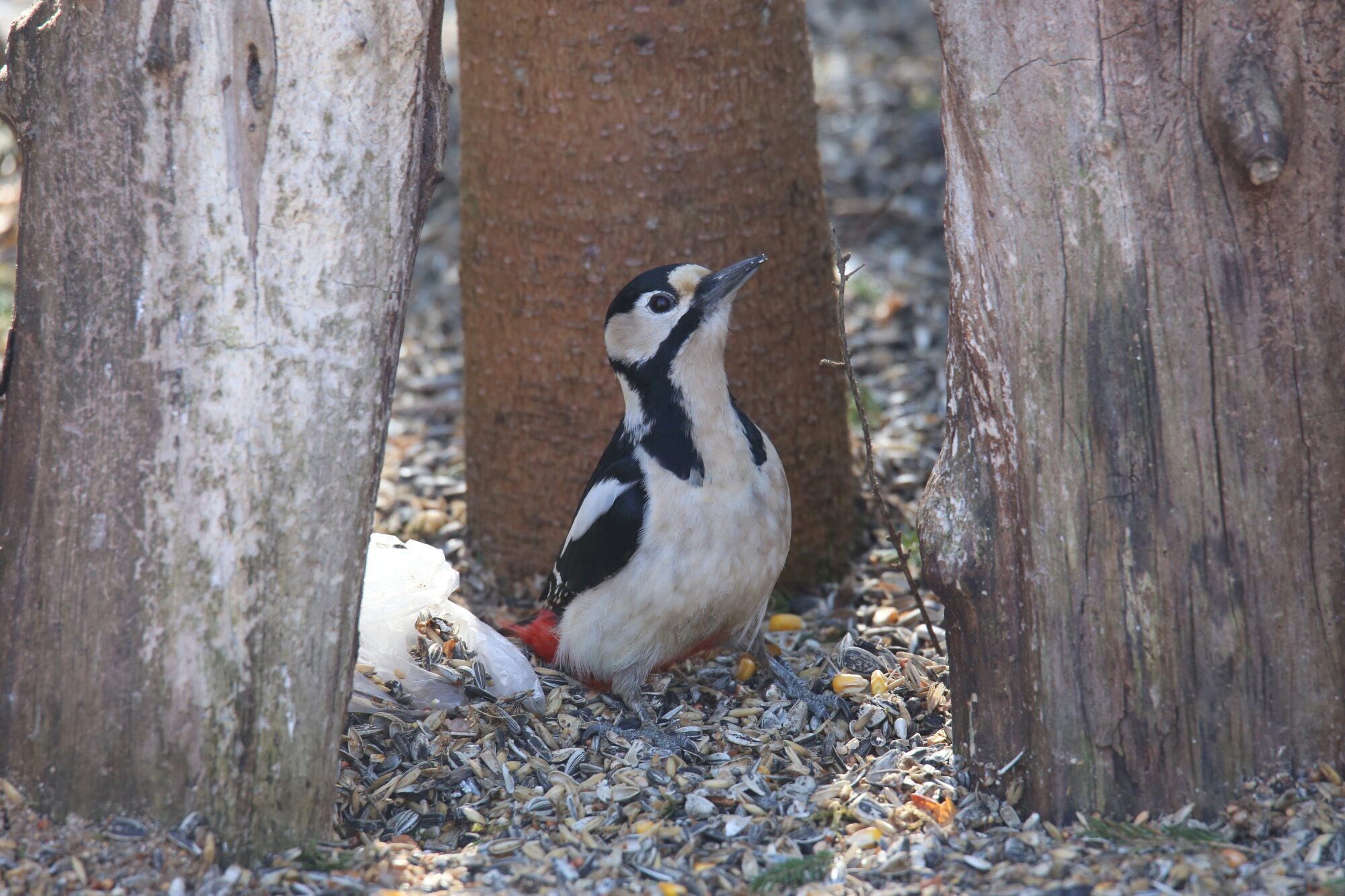 Valokuvaaja: Jaana Saarelainen