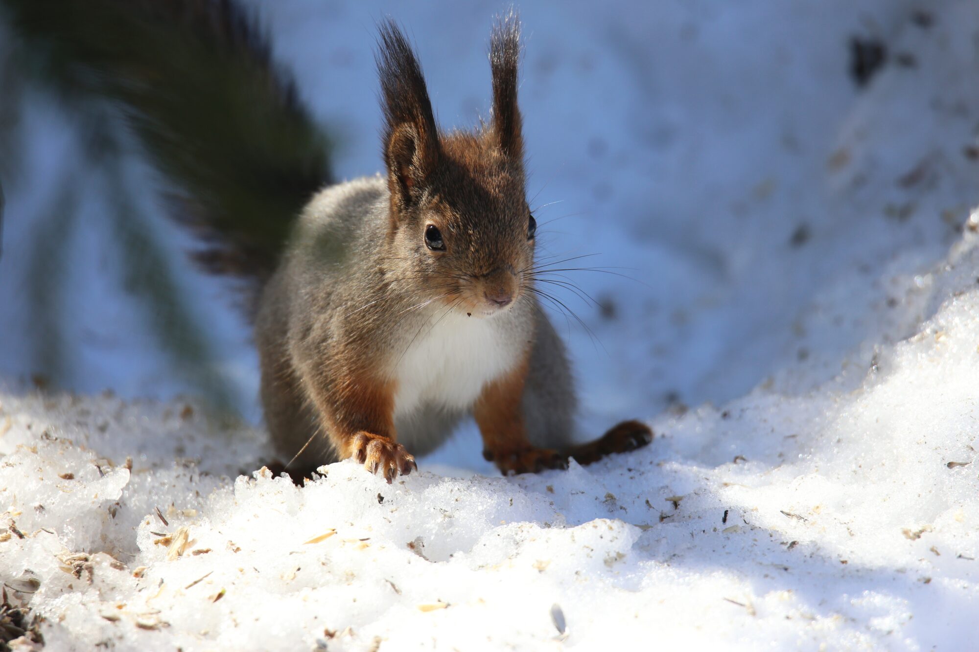 Valokuvaaja: Jaana Saarelainen