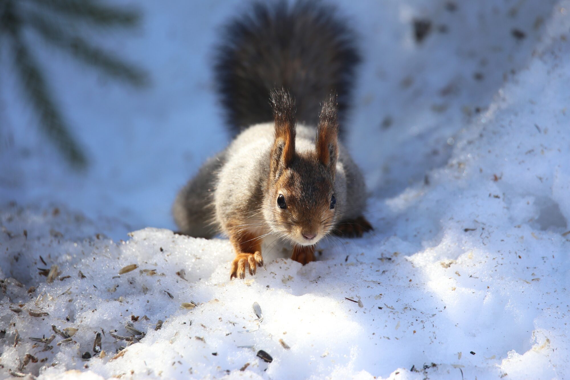 Valokuvaaja: Jaana Saarelainen