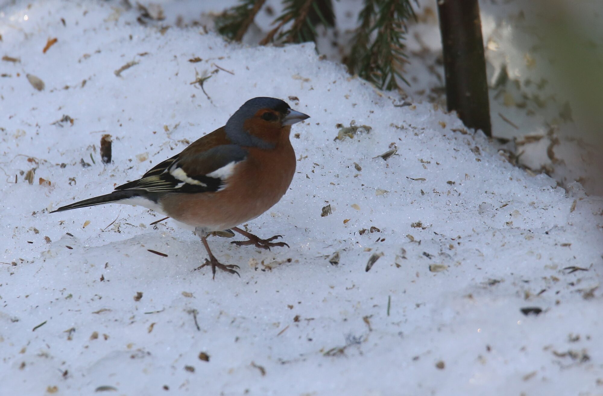 Valokuvaaja: Jaana Saarelainen
