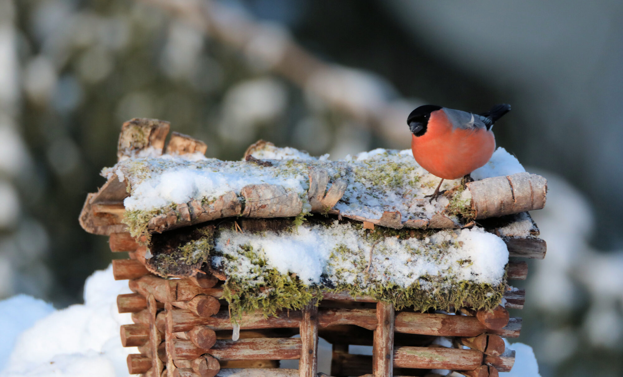 Valokuvaaja: Ahti Keränen