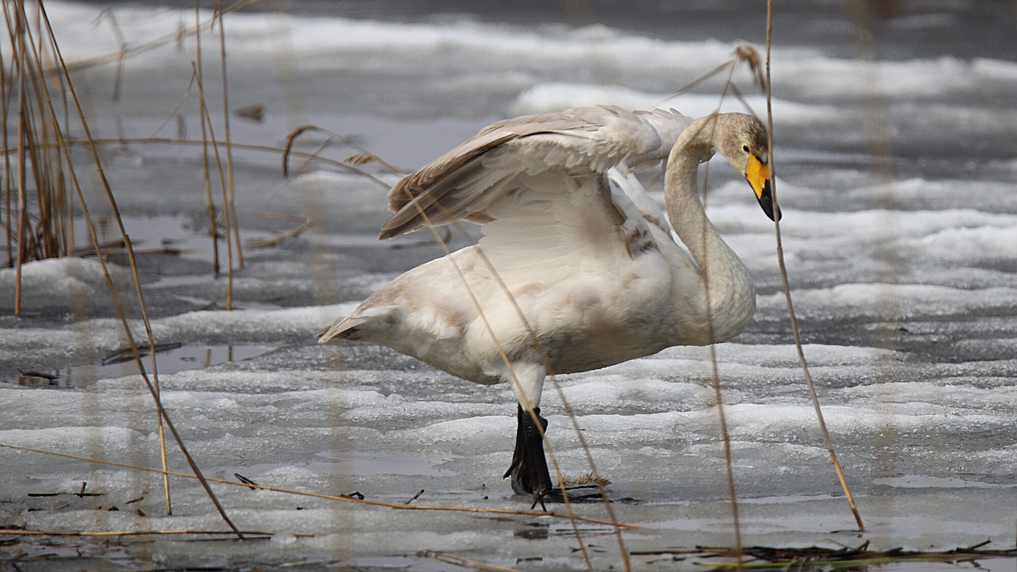 Valokuvaaja: sirpa Jyske