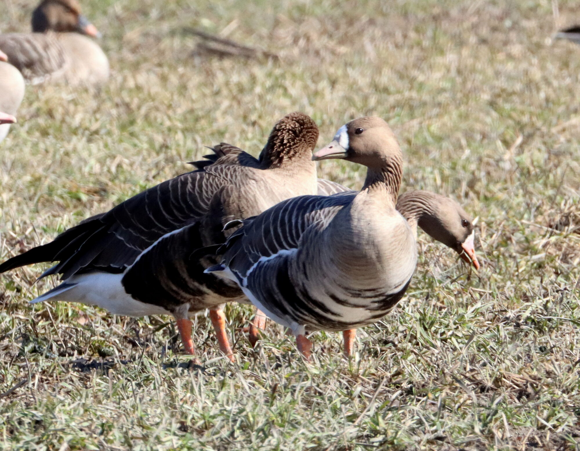 Valokuvaaja: Irja Lehtinen