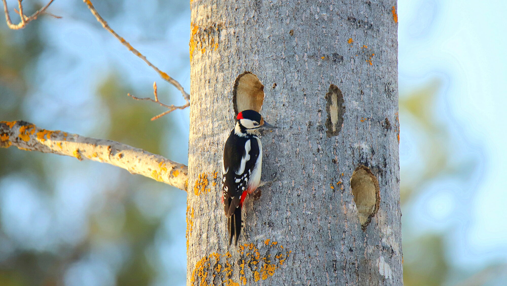 Valokuvaaja: sirpa Jyske