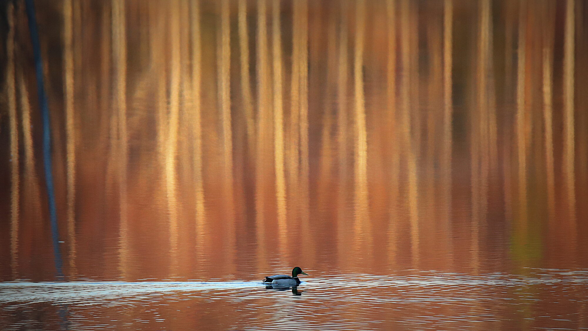 Valokuvaaja: sirpa Jyske
