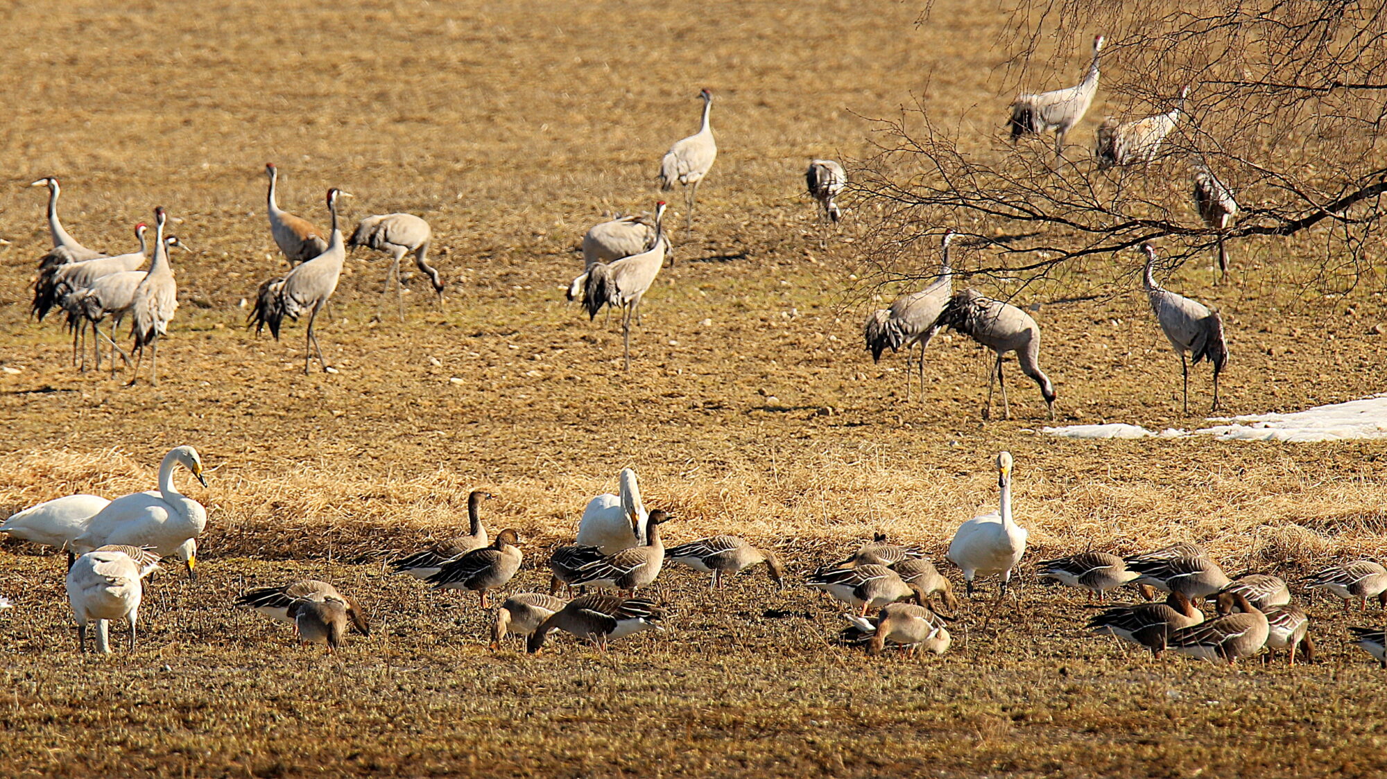 Valokuvaaja: sirpa Jyske
