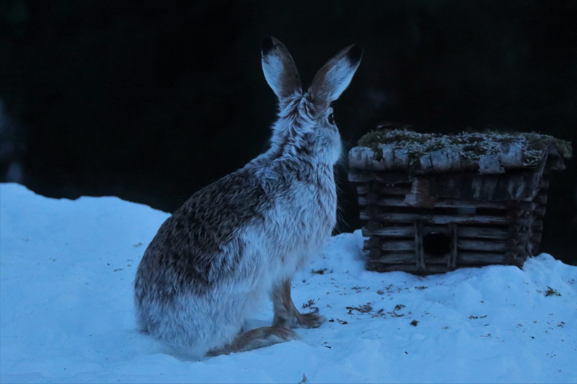 Valokuvaaja: Ahti Keränen