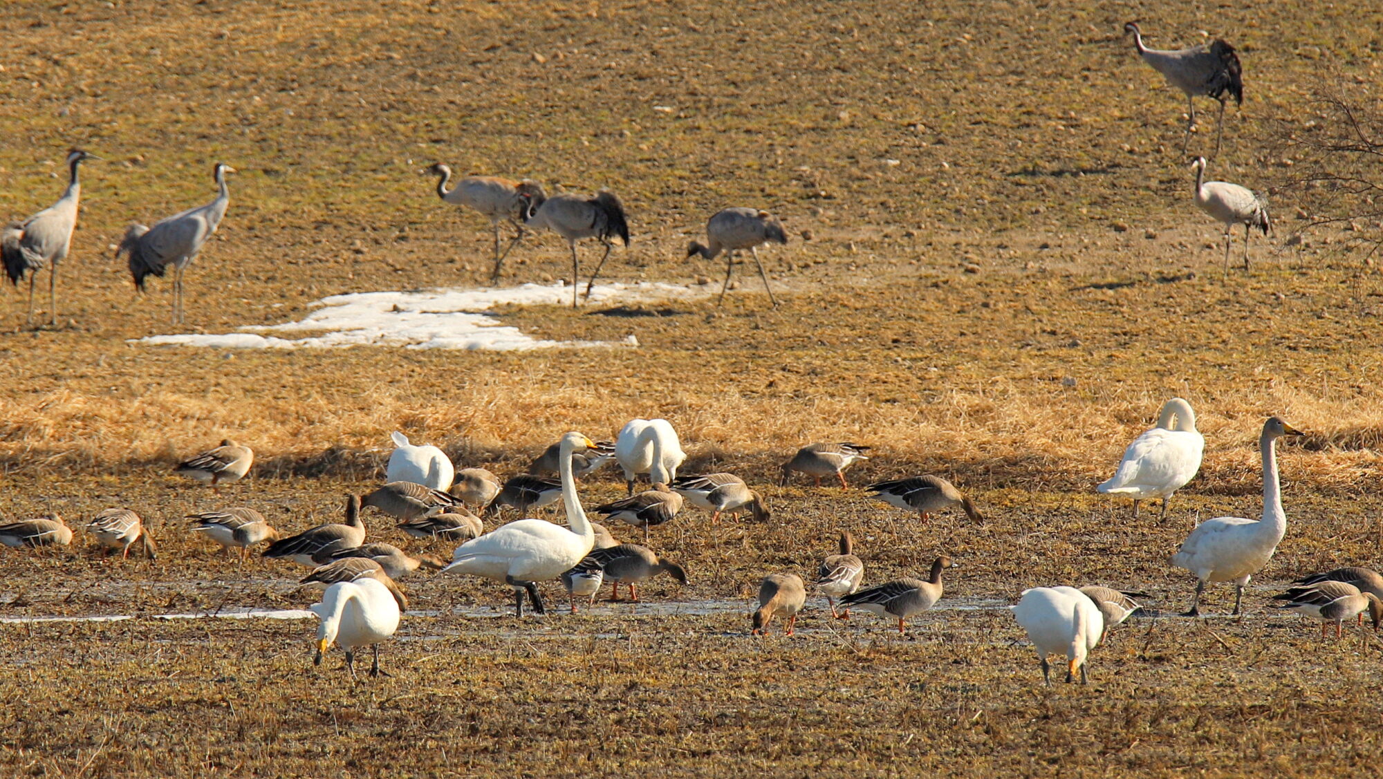 Valokuvaaja: sirpa Jyske