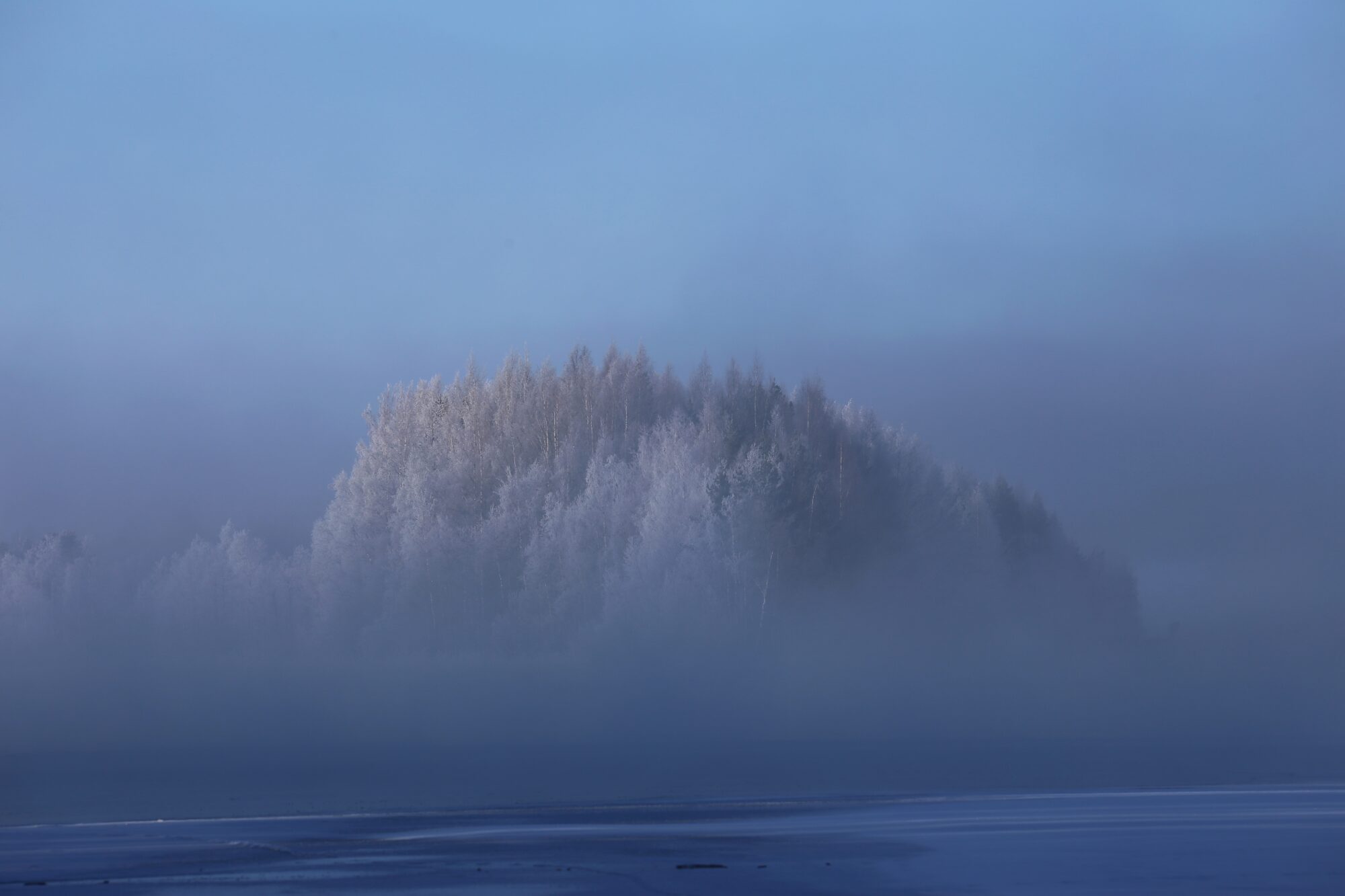 Valokuvaaja: Jaana Saarelainen