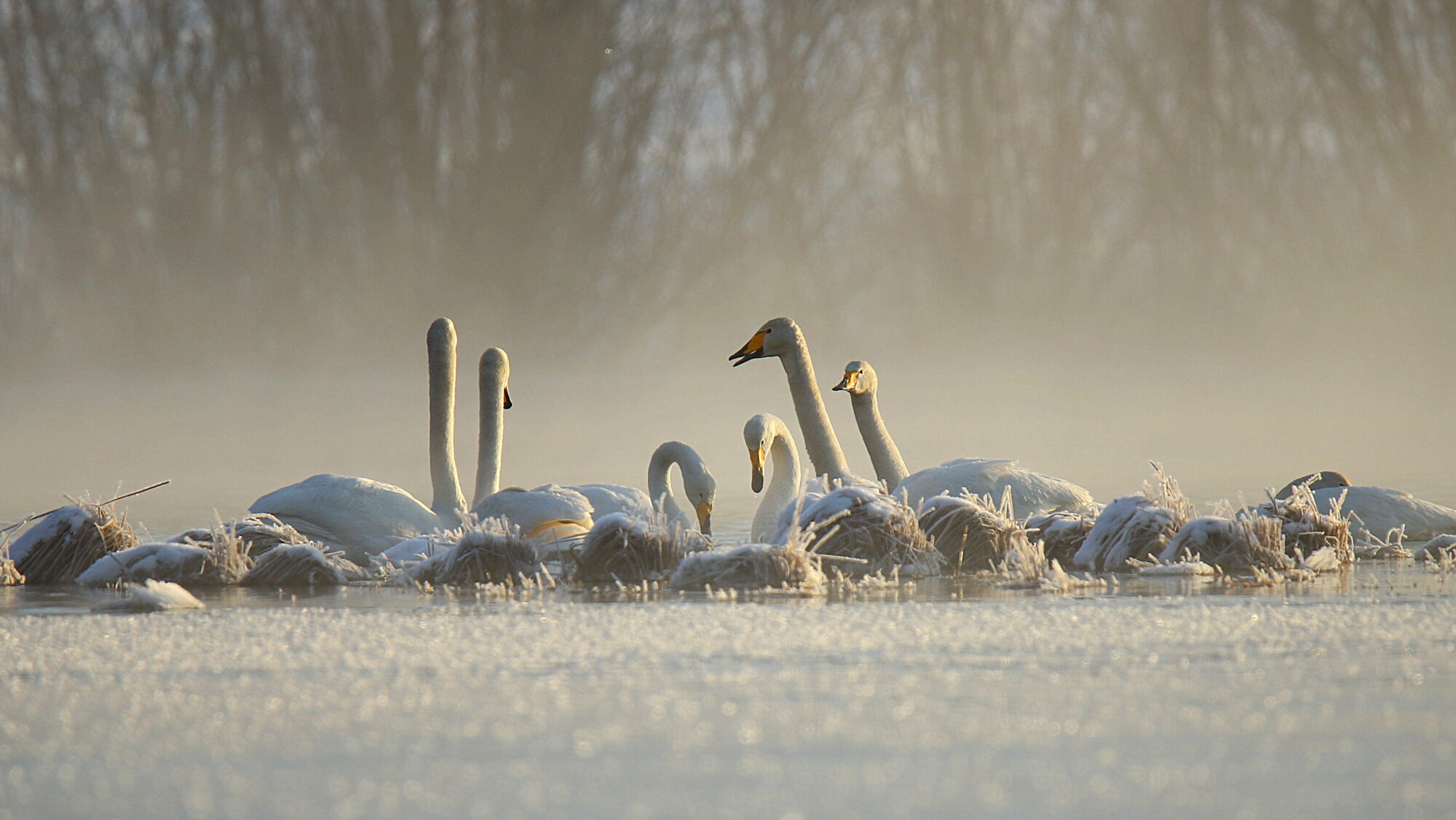 Valokuvaaja: sirpa Jyske