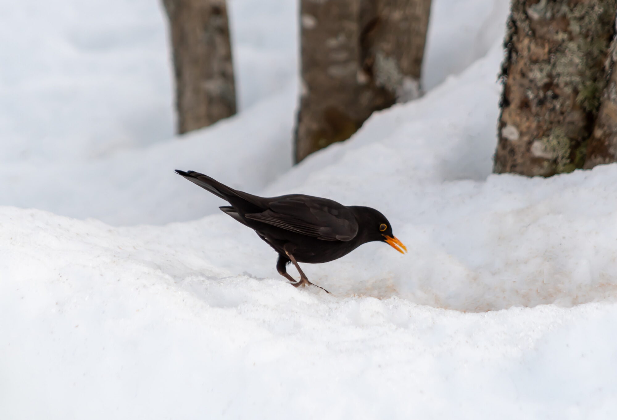 Valokuvaaja: Leena Rissanen