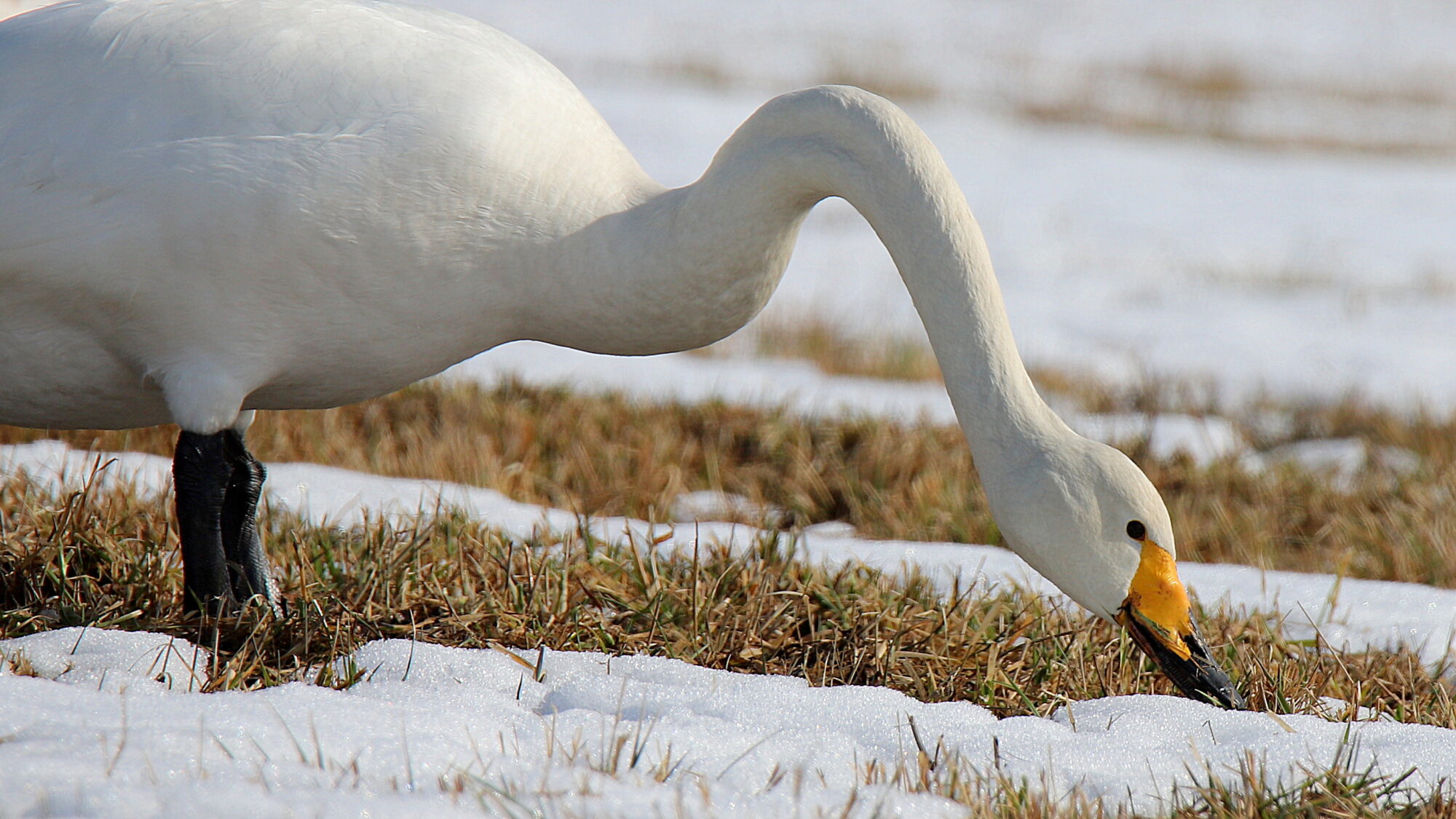 Valokuvaaja: sirpa Jyske