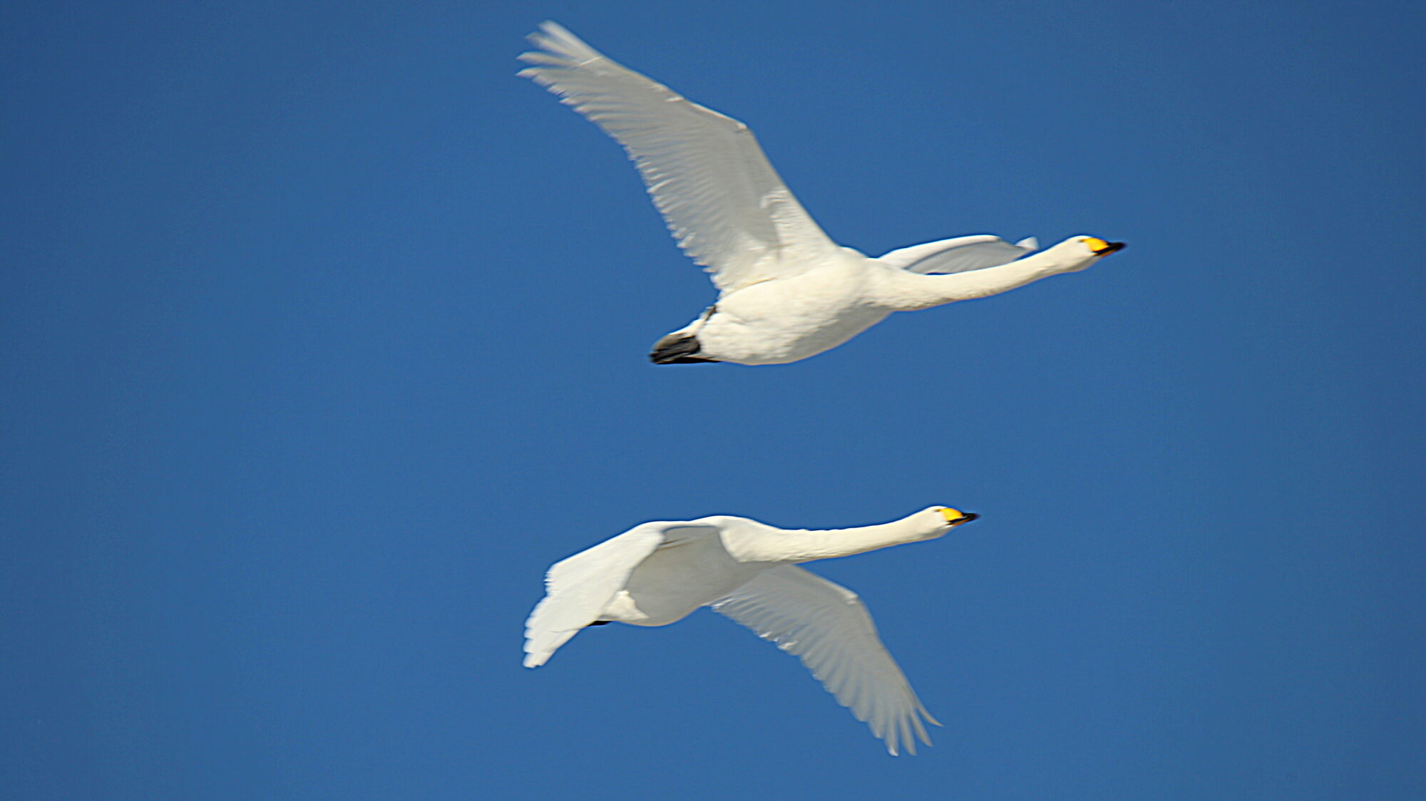 Valokuvaaja: sirpa Jyske