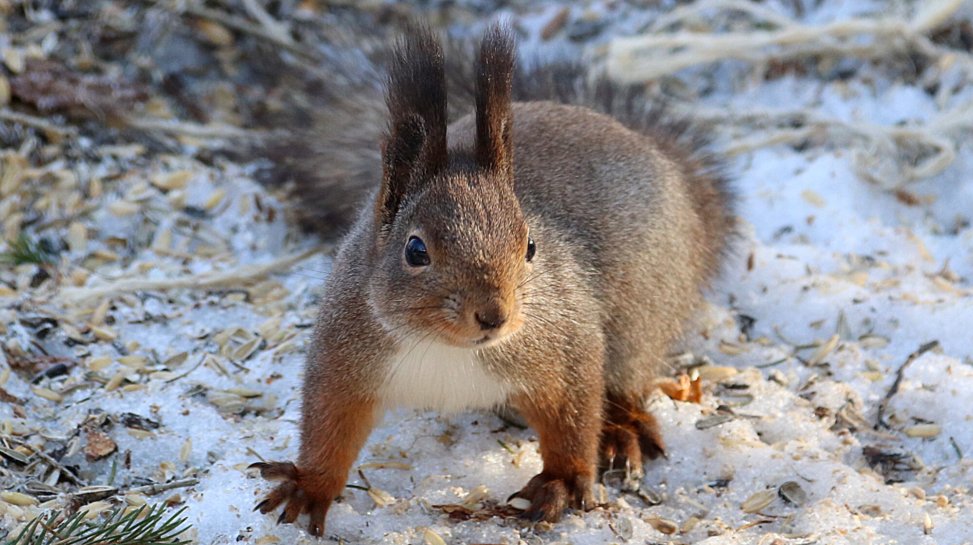 Valokuvaaja: sirpa Jyske