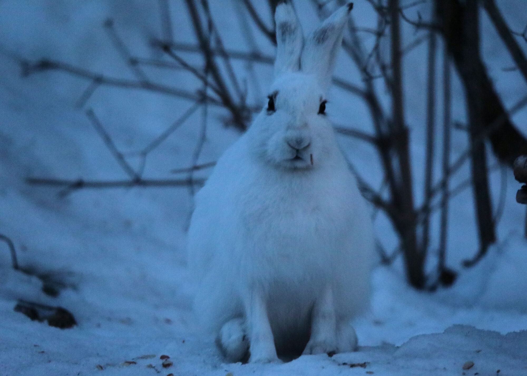 Valokuvaaja: Ahti Keränen