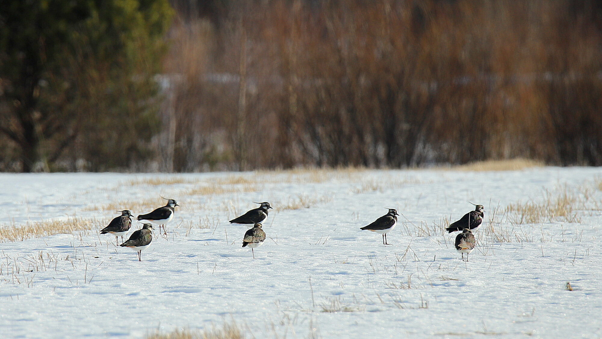 Valokuvaaja: sirpa Jyske