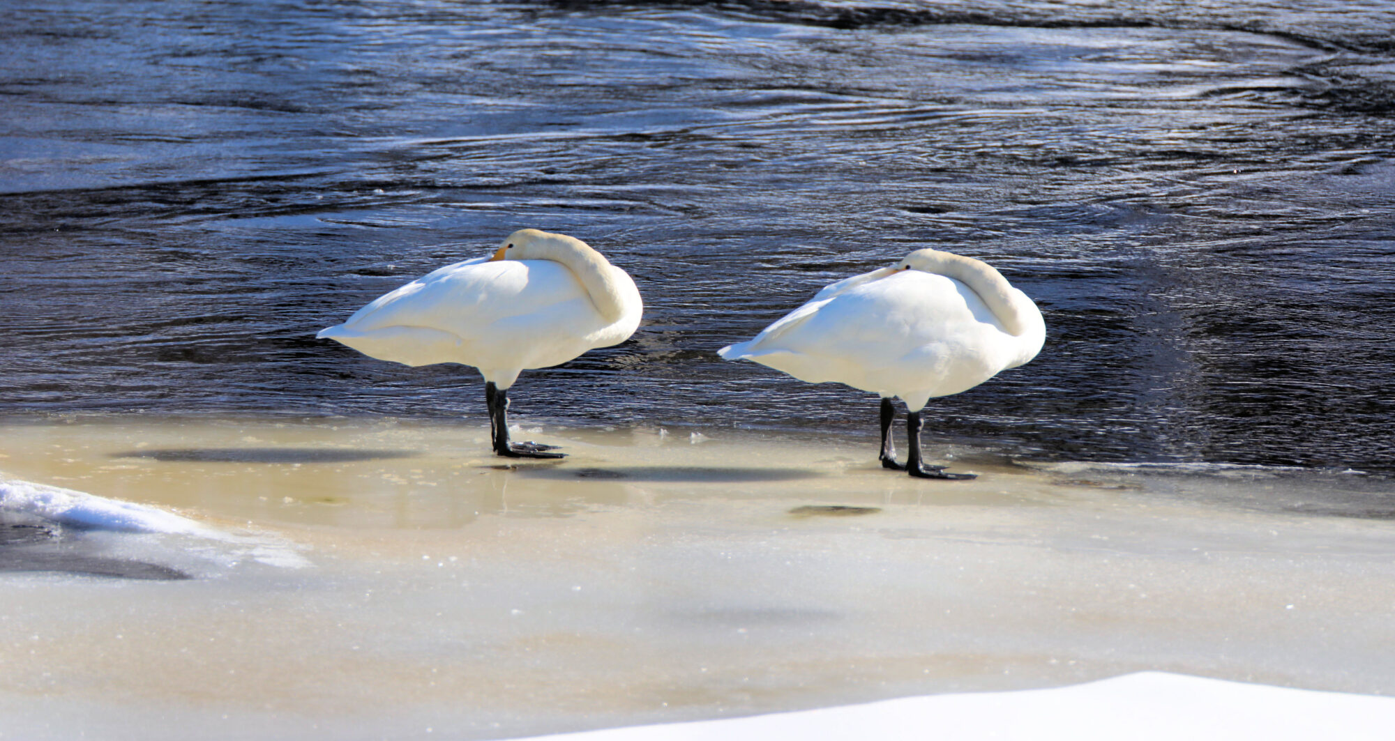 Valokuvaaja: Ahti Keränen
