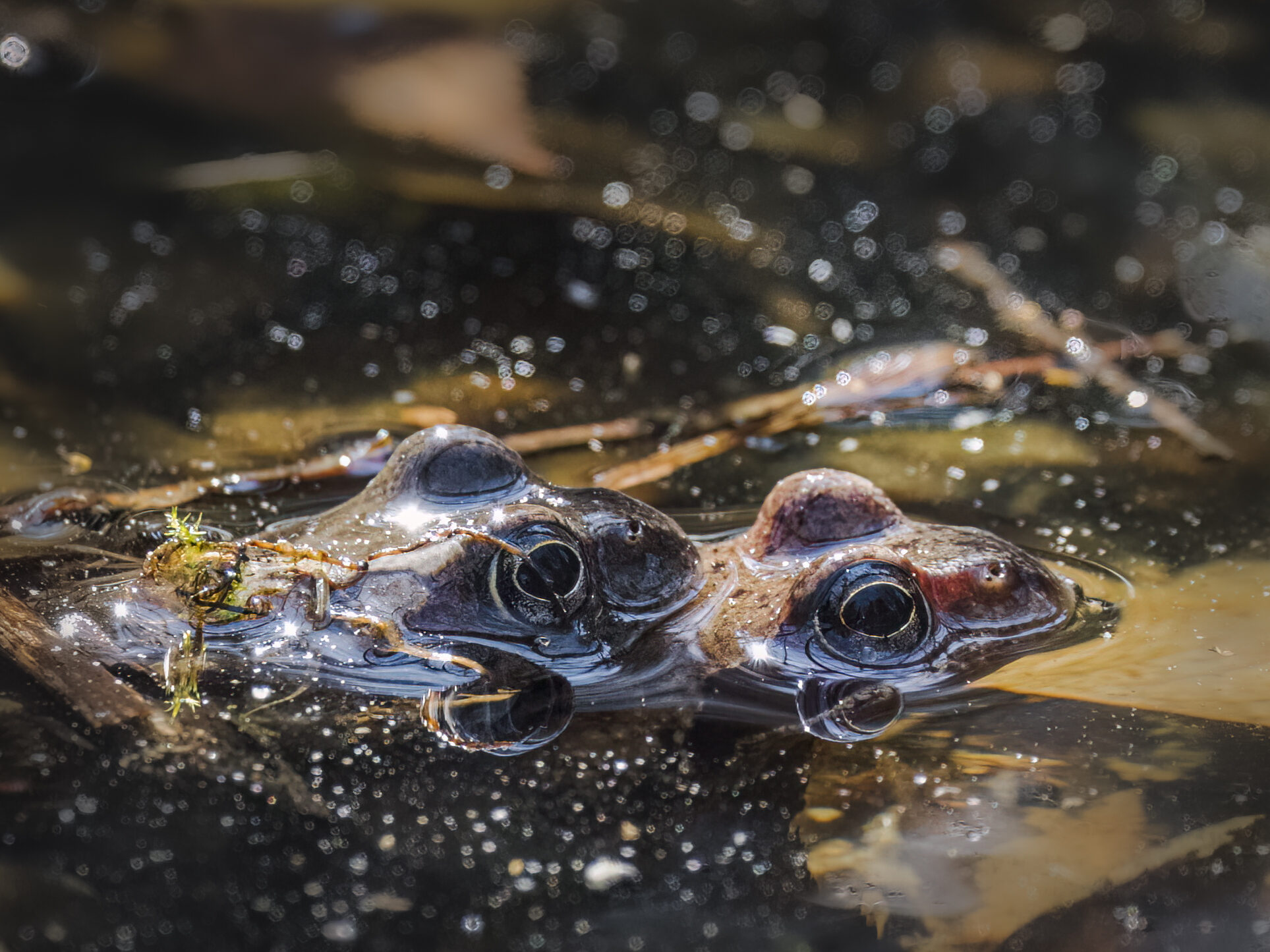 Valokuvaaja: Risto Lavi